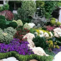 طراحی و اجرای محوطه آبنما برکه فضای سبز گرین وال