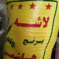 لاشه هاشمی گیلان