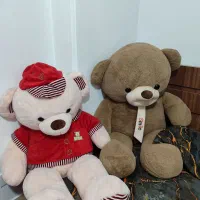 خرس پاندا