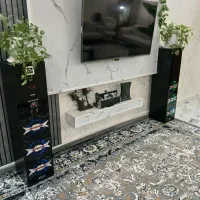 باند خانگی بزرگ
