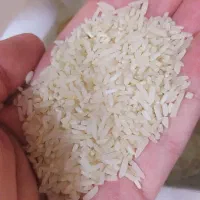 برنج طارم سرلاشه درجه یک زیر قیمت|خوردنی و آشامیدنی|گلپایگان, |دیوار