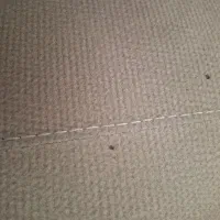 مبلمان ۶ نفره تخت خواب شو مینیمال|مبلمان خانگی و میز عسلی|گرگان, |دیوار