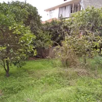 فروش یک قطعه زمین تجاری مسکونی به متراژ ۵۶۰ متر|فروش زمین و ملک کلنگی|خلیل شهر, |دیوار