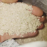 برنج نیمه طارم اصل عطر و بوی تضمینی زیر قیمت بازار|خوردنی و آشامیدنی|مشهد, طبرسی شمالی|دیوار