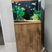 آکواریوم همراه با میز