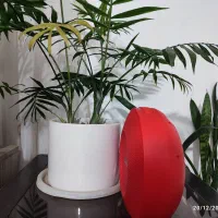 باندبی سیم|پخش‌کننده همراه|گرگان, |دیوار