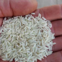 فروش برنج علی کاظمی