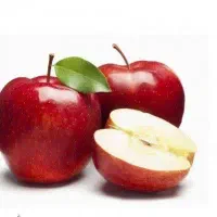 تولید نهال سیب ردچف|خدمات باغبانی و درختکاری|خلخال, |دیوار