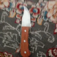 چاقو شکاری|کوهنوردی و کمپینگ|اهواز, شهدای انتظامی|دیوار