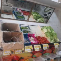 واگذاری لوازم ومیز میوه فروشی|فروشگاه و مغازه|مشکین‌دشت, |دیوار