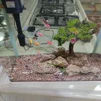 فروش اکواریوم