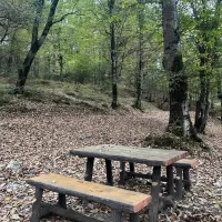 فروش‌زمین زراعی