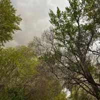 استخدام سرایدار و نگهبان به صورت دائمی در باغ