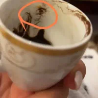 طالع بینی دقیق شما