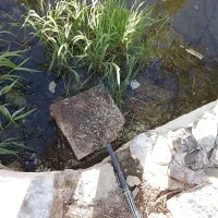 فروش مزرعه سه هکتاری چسبیده به بیرجند