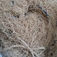 تور ماهگیری بیاح صبور