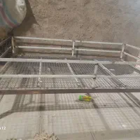 تخت