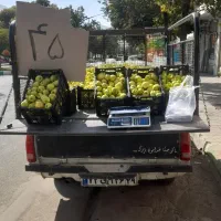 سیب