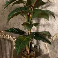 درخچه دوتنه