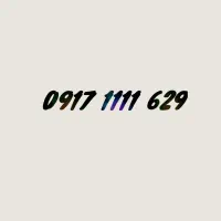 09171111629