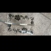 ظرف پذیرایی|ظروف سرو و پذیرایی|خرم‌آباد, |دیوار