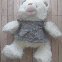 عروسک|اسباب‌بازی بچه|سرپل ذهاب, |دیوار