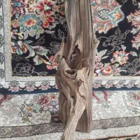 چوب ابنوس|ماهی|تالش, هشتپر|دیوار