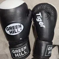 دستکش کیک بکسینگ گرین هیل
