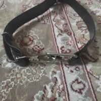 قلاده سگ|لوازم جانبی حیوانات|بروجرد, |دیوار