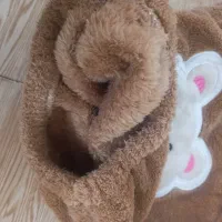 بلوز و شلوار تدی|کفش و لباس بچه|نیشابور, شهرکهنه|دیوار