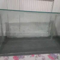 یه عدد اکواریوم سالم بدون شکستی زیر قیمت بازار