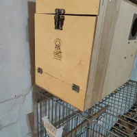 قفس پرنده بزرگ