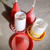 دانه خوری اب خوری مرغ
