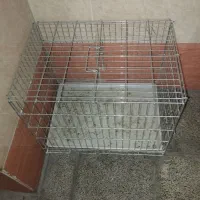 قفس پرنده بزرگ و جا دار