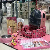 پارک بازی ارتفاع ۶۵ سانت ۶ تیکه سگ و گربه