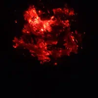 راهنمایی و راهکار