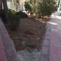 فروش-تهاتر-خیلی-فوری-دوقطعه-زمین