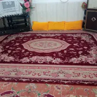 دوتا قالی دوازده متری نو|فرش|بندر گناوه, |دیوار