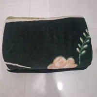 پتومارک گلباف ضخیم