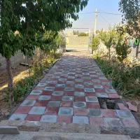 بنایی .کاشی  سرامیک کاری .سنگ آنتیک  بین کابینت|خدمات پیشه و مهارت|دماوند, دماوند|دیوار