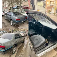 405 خاکستری خانگی