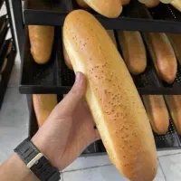 شاطر ماهر فانتزی