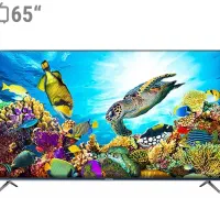 تلویزیون ۶۵ اینچ آیوا/اقساط دلخواه/اسکندری