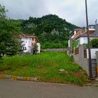 ۲۳۰متر زمین //پلاک صفرجنگل//سند تک برگ