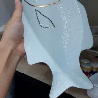 ظروف پذیرایی چینی|ظروف سرو و پذیرایی|اردبیل, |دیوار