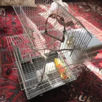 قفس پرنده سالم نو