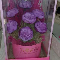باکس گل