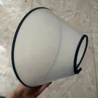گردنی پت الیزابت