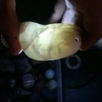 سنگ های قیمتی بسیار زیبا و جذاب