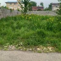 فروش زمین 60 متری در لاکانشهر